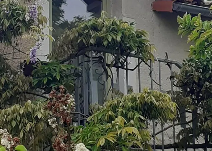 Gite, Maison De A La Campagne